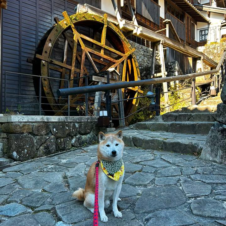 E060aa37 48d4 4278 acd8 6eec5fecf34b 1763629534887