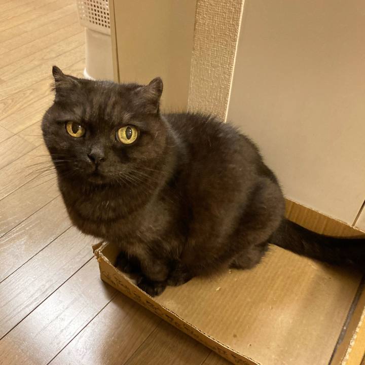 E060ab2e 8ffd 4ea8 a201 58c101463361 1612533465301