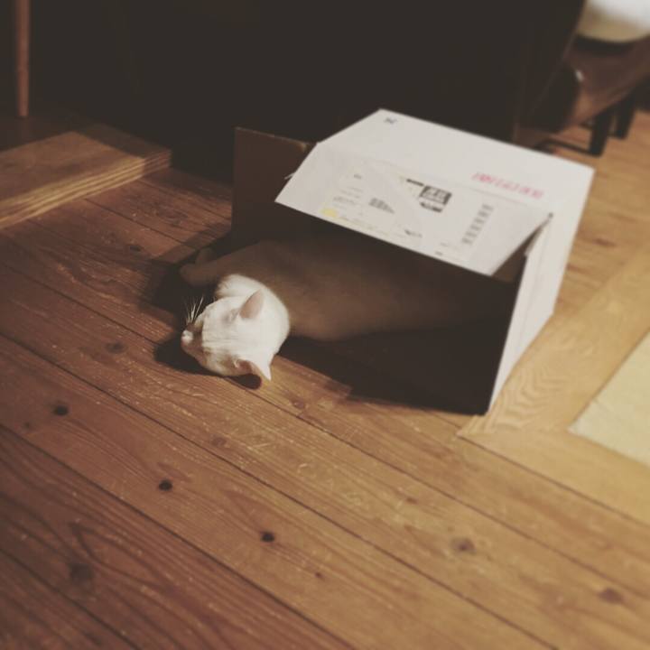 E060db63 6e87 46be 9e49 c5400320d706 1529419282060