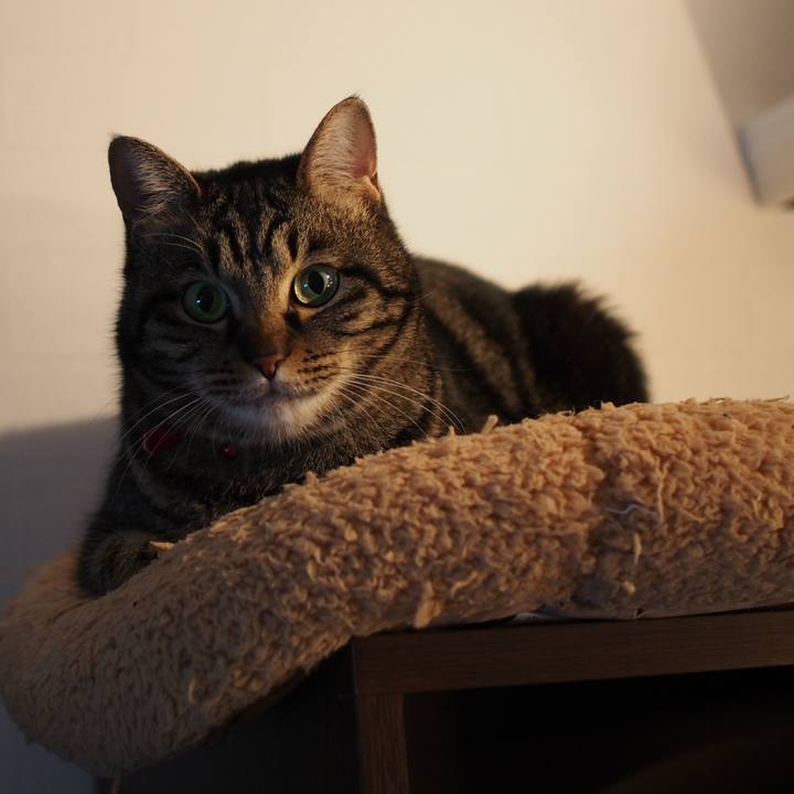 E060dc71 f6aa 4e34 9de3 669296a52310 1581517748171