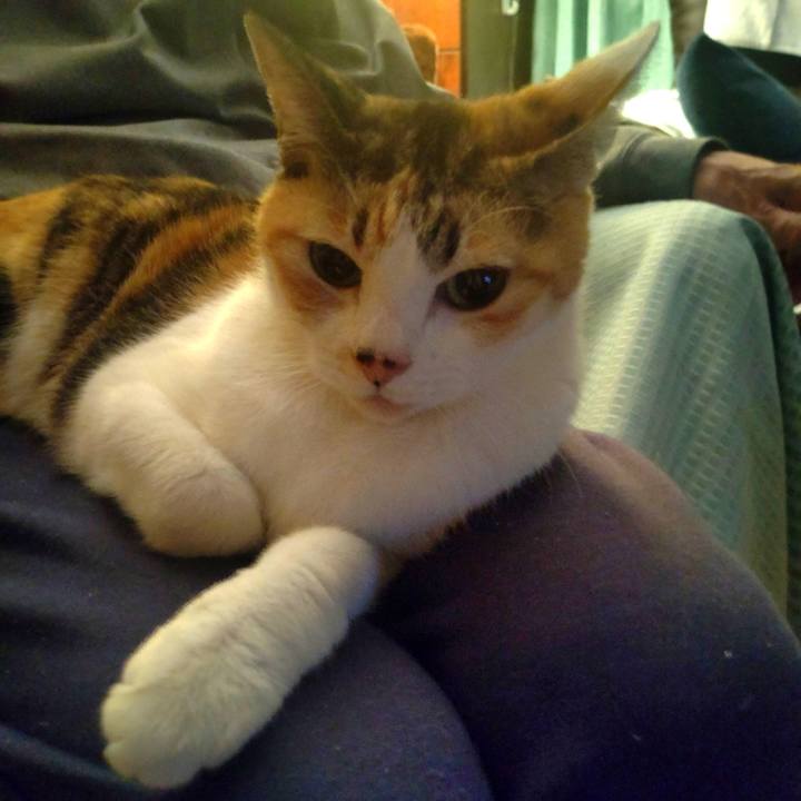 E0610d56 3a90 4759 8f22 6f985160c9e9 1710769424572