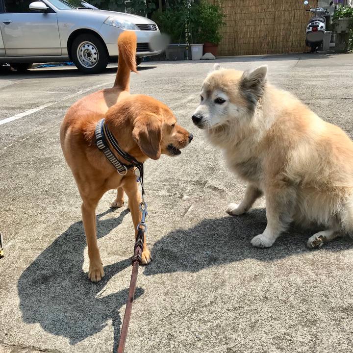 E0616631 98f0 41ee b7a0 d9e1885dde38 1529975562168