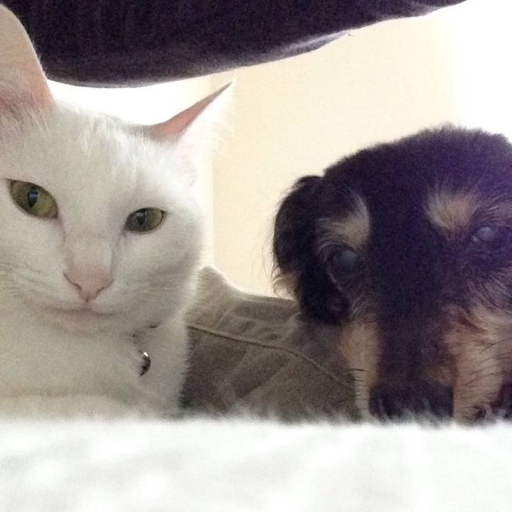 E0619b52 724c 4da7 9cc9 ed577780754d 1638329324900