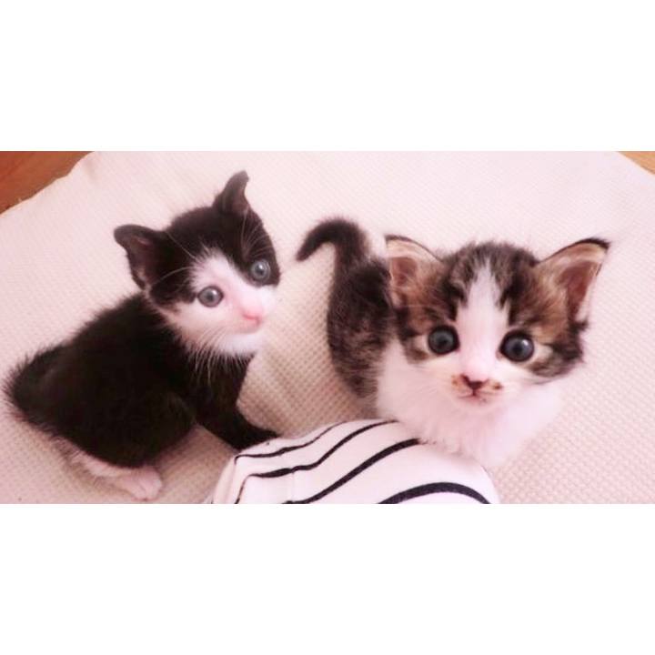 E061a39f 6cd2 4a43 b9c4 bf3c32b3f2bd 1561723912434