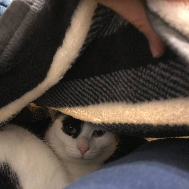 E061e25f 9399 4039 b8ff a4809f8cde88 1516792284118