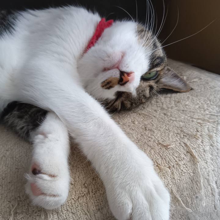 E061faef 9b33 4184 8210 de34c3feb394 1758724785654