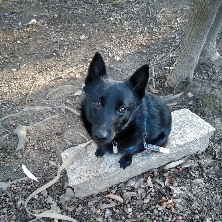 E0622bf7 4fb5 4009 8803 ac7fe1c20fc7 1549508039250