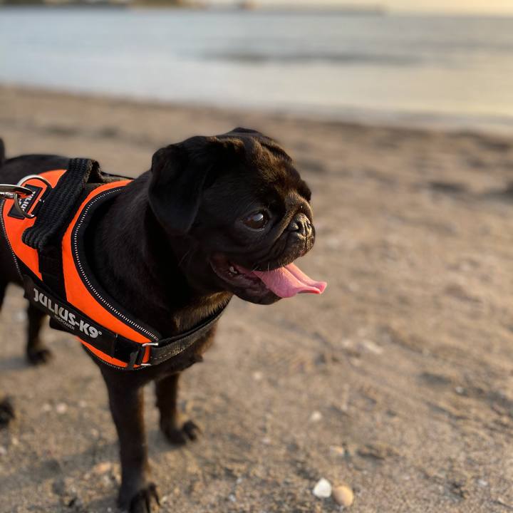 E0623a98 6236 4b48 ad25 a95179fbb719 1617451618492