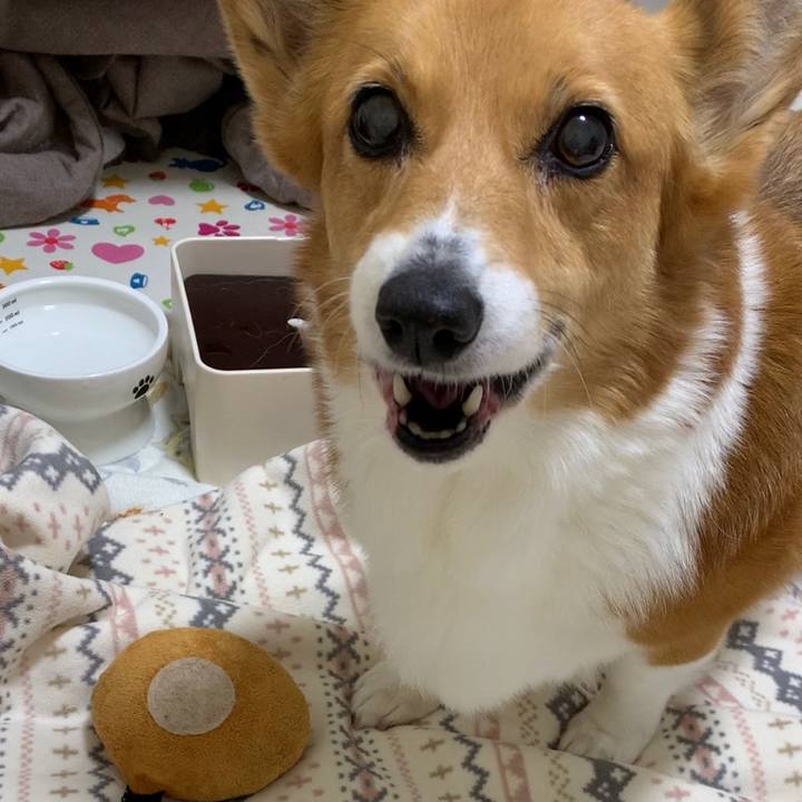 E0623bd8 0a4b 4f31 89da 6886c9404529 1708675739958