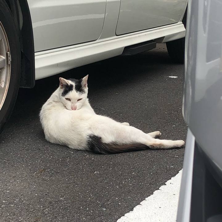 E0625c14 bc36 4fbd a0ae 10b531d7ee5e 1652697567647