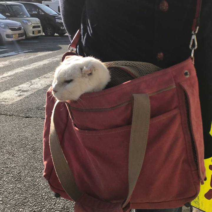 E062a17c 5e14 405a 9b65 160154c2ab03 1578008862740