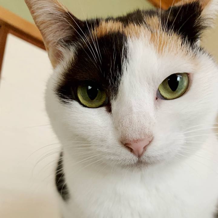 E062b4ea 837f 481b aefc c2ca3d8d9844 1543281800831