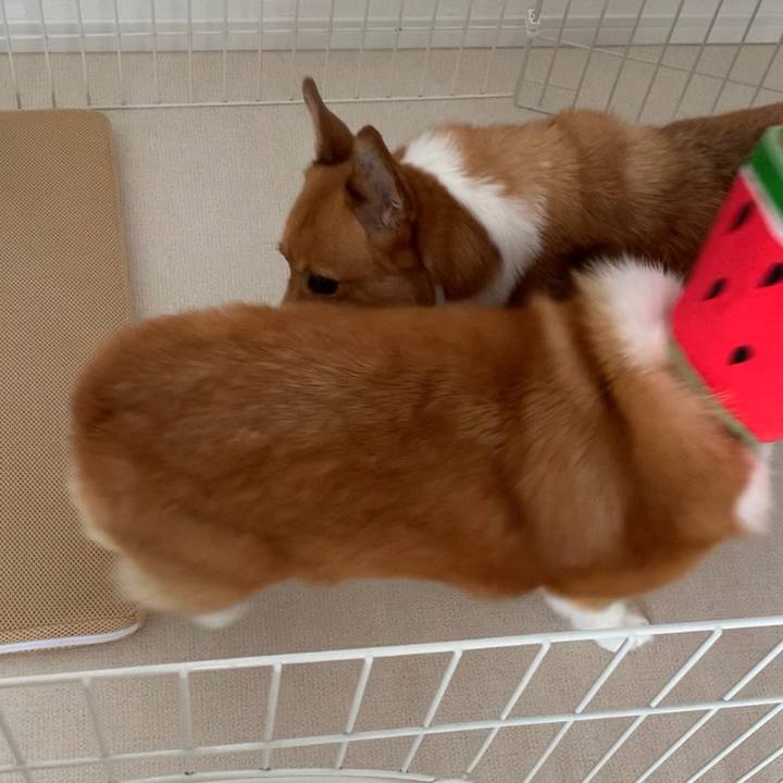 E062e515 da31 4ec1 b71a af743e5ac299 1688709790288