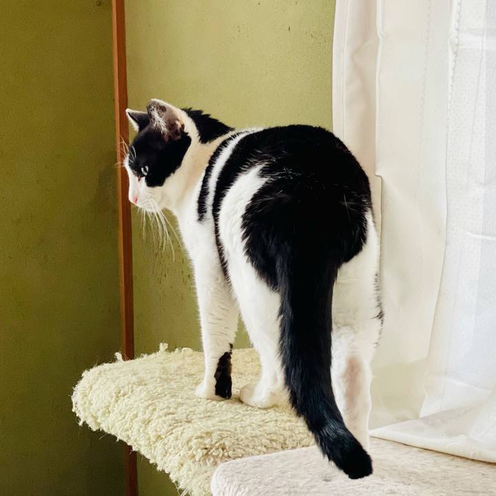 E0632900 e224 48da b532 e5201f134505 1617590000730