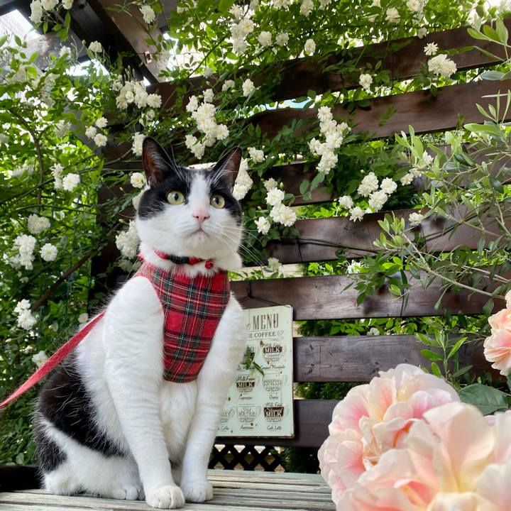 E0633cd9 79bd 4c5d b756 bac6cb848068 1684970010101