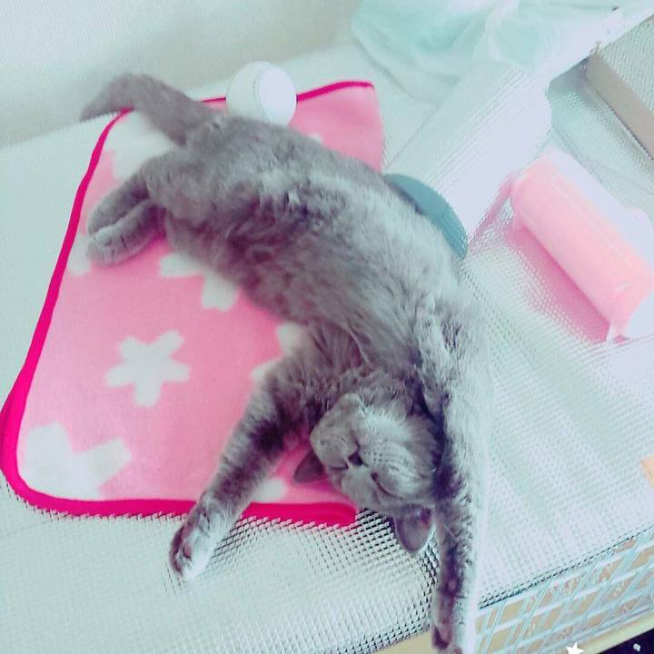 E0641e26 e24c 40ed b8ba 9c5b84925e76 1615644370463