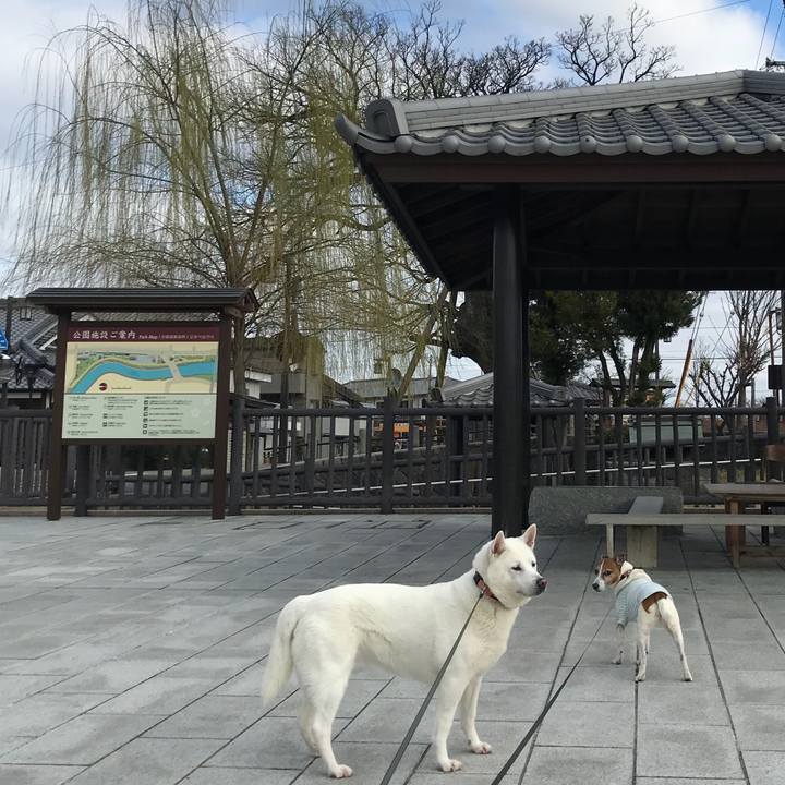 E0642afd af7b 422f a194 5f3a7e7b9998 1520641486305