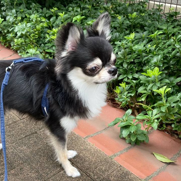 E06432b3 0e71 4e4d a487 5587959a76ad 1629520300339