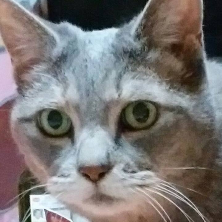 E06459c8 6dd1 40fc b1f2 4e80b3e06713 1596883284347