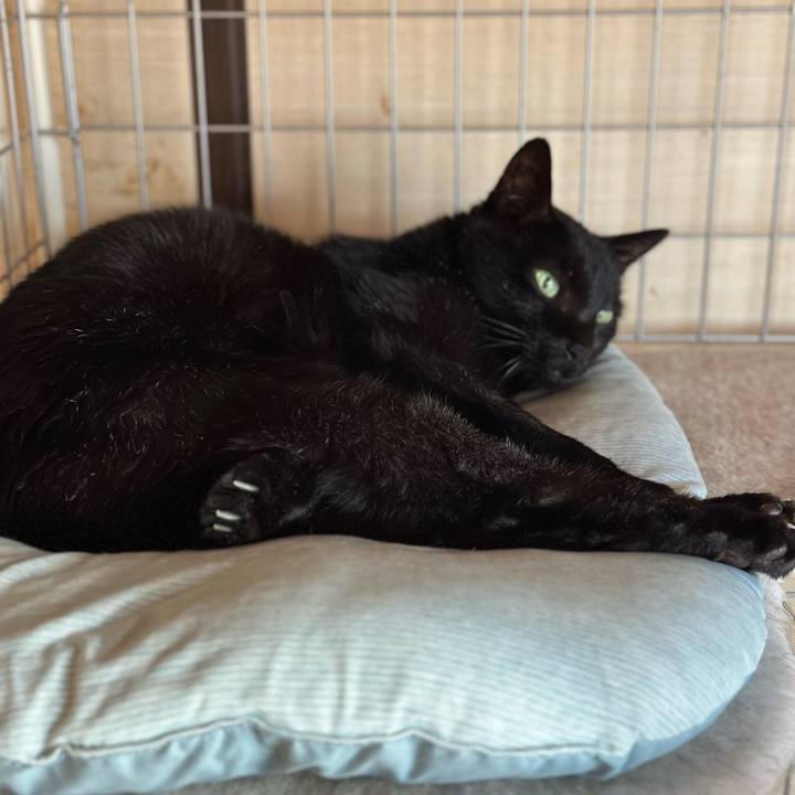 E0648b28 e954 4470 99b9 53d6507650f0 1698628688697