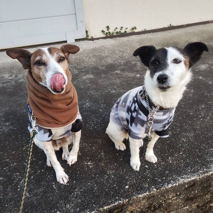 E064a620 18dc 49db 8e06 1caa65fec79d 1773180890258