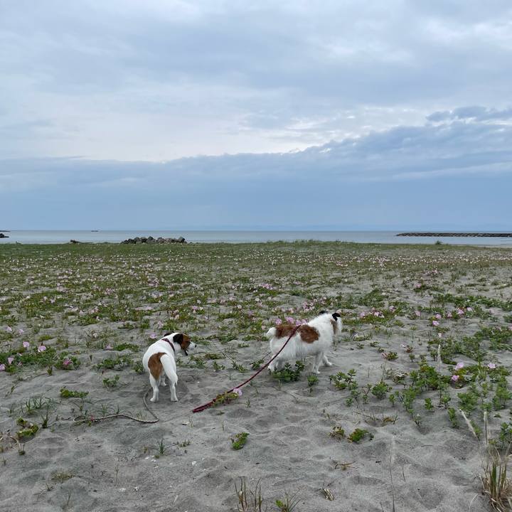 E064bd0a b8a0 45bf b27b 5e80e69247f0 1716765027167