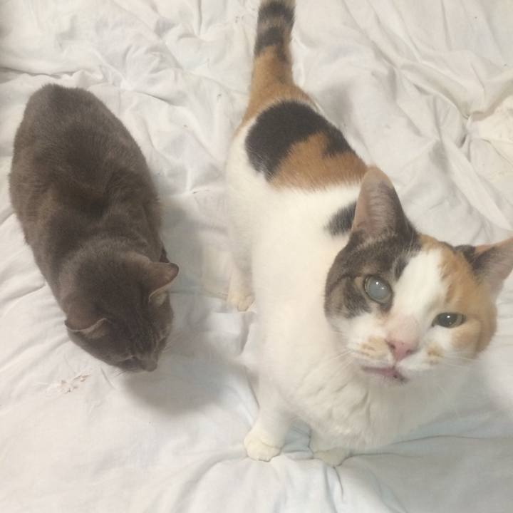 E064d3c0 d2c7 4d5c 91f7 83de15dbdbf4 1552147180250