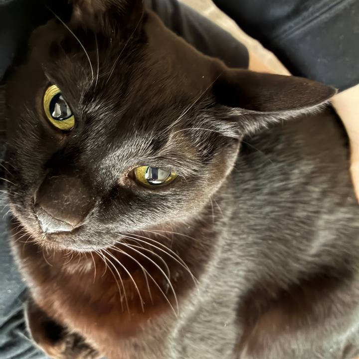 E064de46 5061 47d5 a78e 8aa25f807482 1774650746550