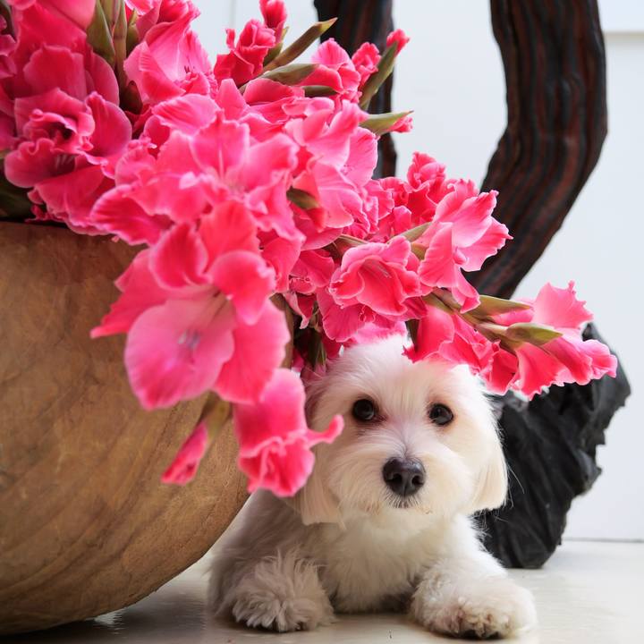 E064eb9c 033f 404f b0bf c85e85c31b8b 1761623232894