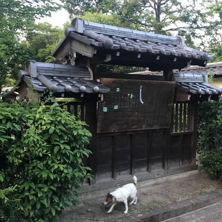 E0650b93 bcb8 4d8b 9d76 24e76105eead 1528124268926