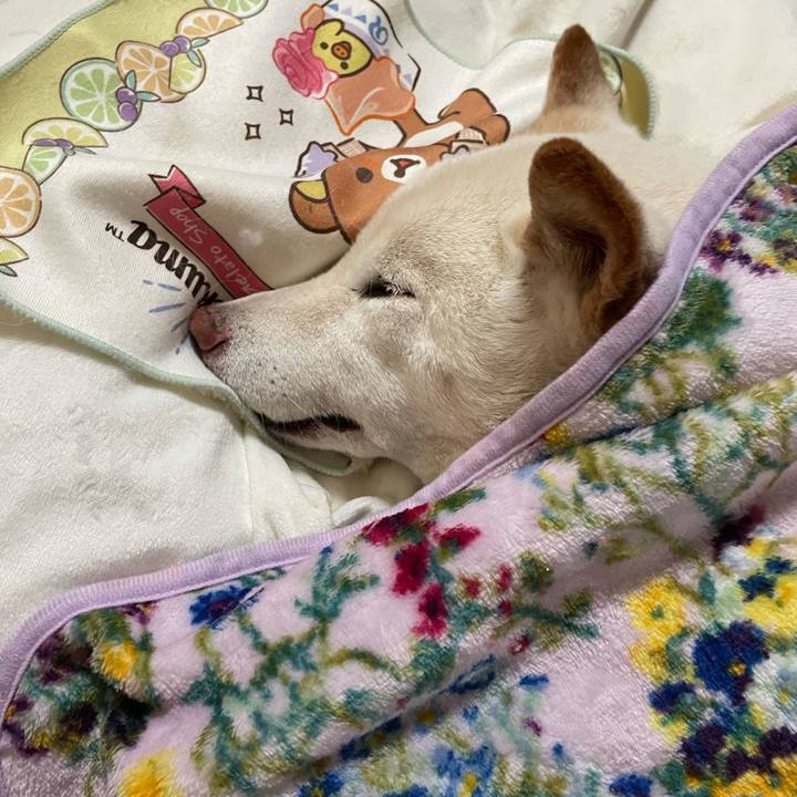 E0651a6a c5ac 4595 8c66 aac75f315741 1634785769973