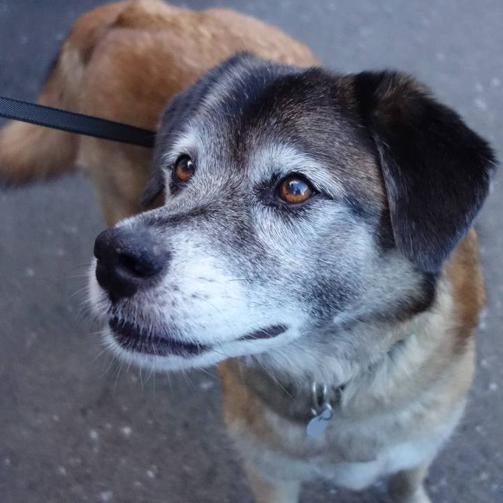 E0651be5 dd85 4db0 bc32 8cb64a9c620f 1671243648611