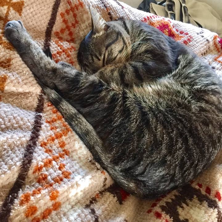 E0655082 544b 496a b065 7e6dd7453a9f 1584430469835