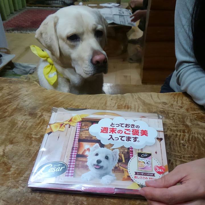 E0657c16 a47c 45c9 8b77 4ebb34326067 1513941375804