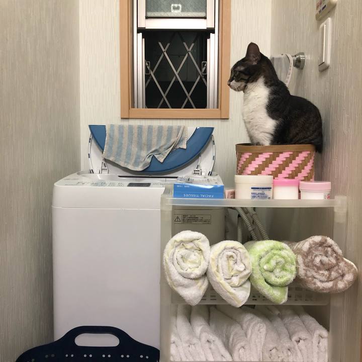 E065870c 3f2b 49df 81a4 524dcc627eaf 1565533999301