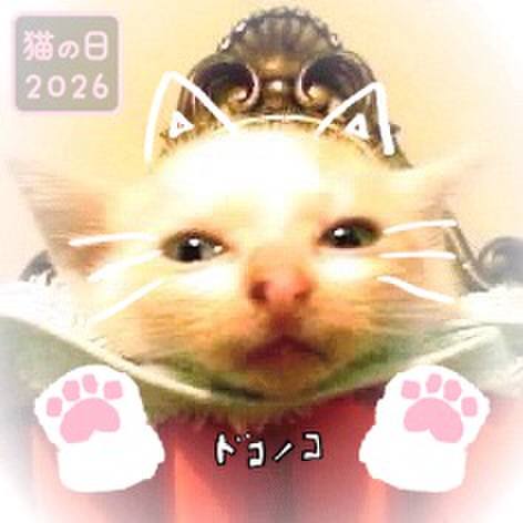 E0659584 b6bc 4b83 9a50 84f6434a309b 1771766980553