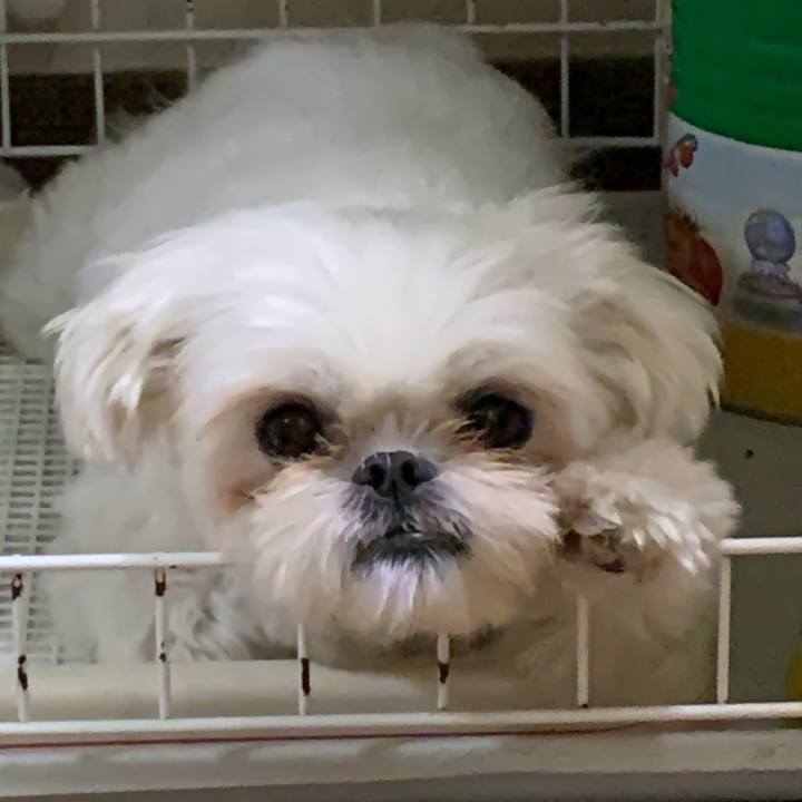 E0659b83 824c 45b7 97ee 21190ac2083f 1702215709594