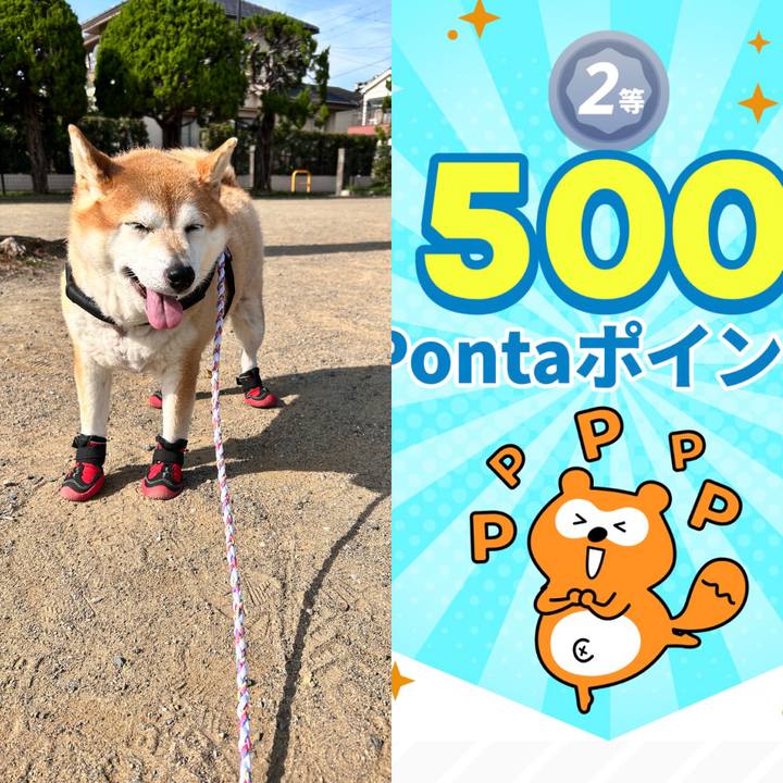 E065c310 988b 414f 9fca d7166339c5a1 1732417095608