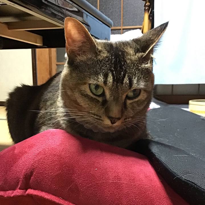 E065dfa1 c932 478c bcf9 f5cbb085fbda 1657977332875