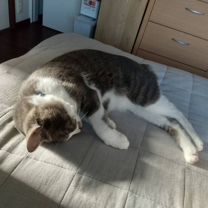 E06627d5 bc51 41be 9fcd 77cbb59854db 1601592511542