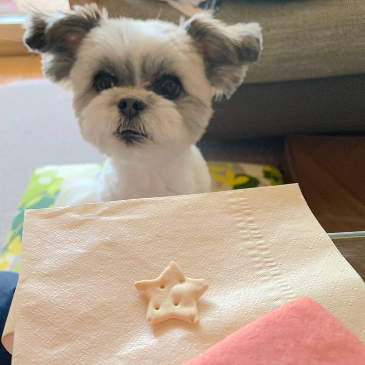 E0665466 7830 447a 8ae6 e051f2194b60 1555376919158