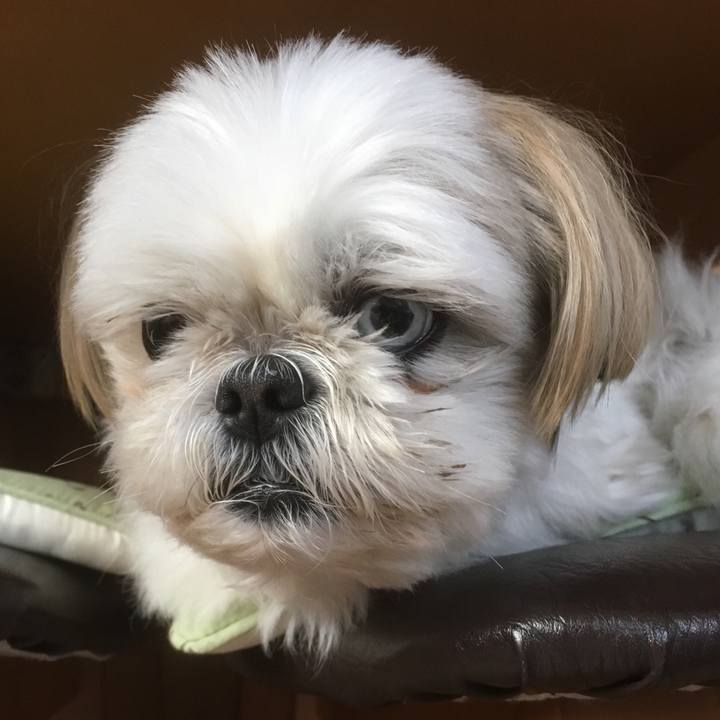 E0666254 a25b 40d1 81a0 eaea1c450b5f 1525936172283