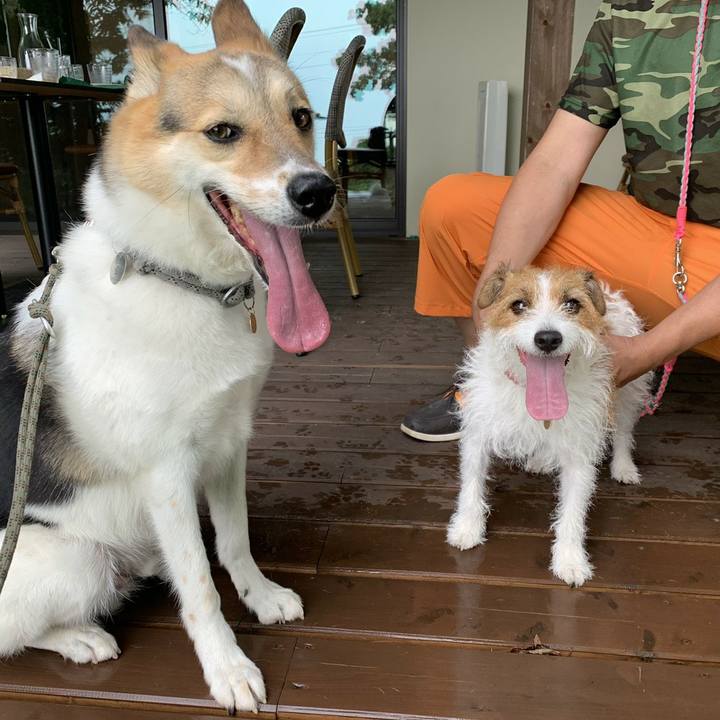 E0667cc5 3d3f 40ce 85cc 57c89b8b0f55 1627049175483