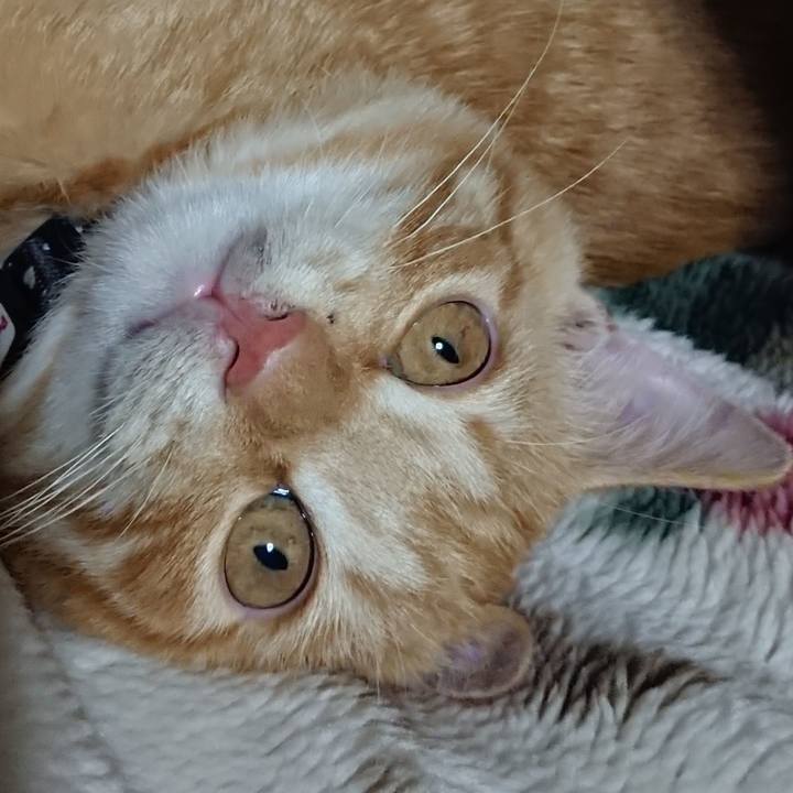 E0668b00 7a04 4a74 9063 4769a635b855 1634527291239