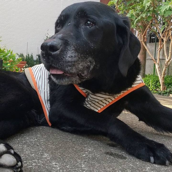 E066cc26 a706 44f8 8ab7 812cb687f010 1713083183487