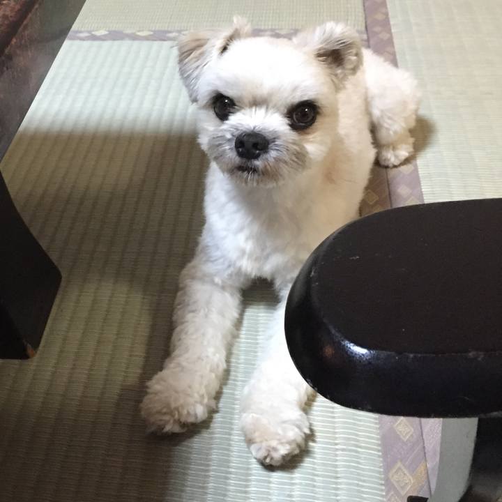 E066dbfc f21c 49ad ba7d 6ee9068d1fa3 1530272233772