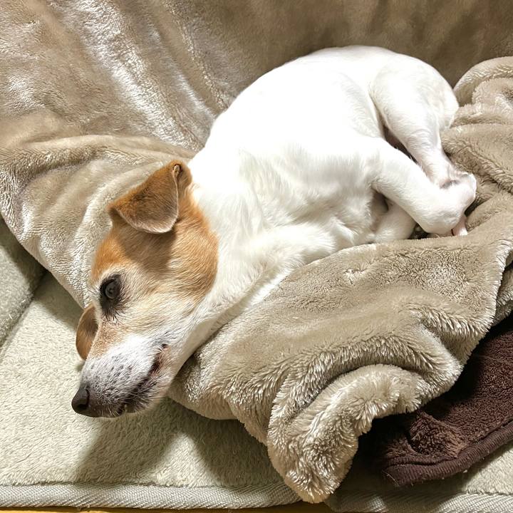 E066e123 f61c 4994 8943 65ded4aab2ca 1702469645800