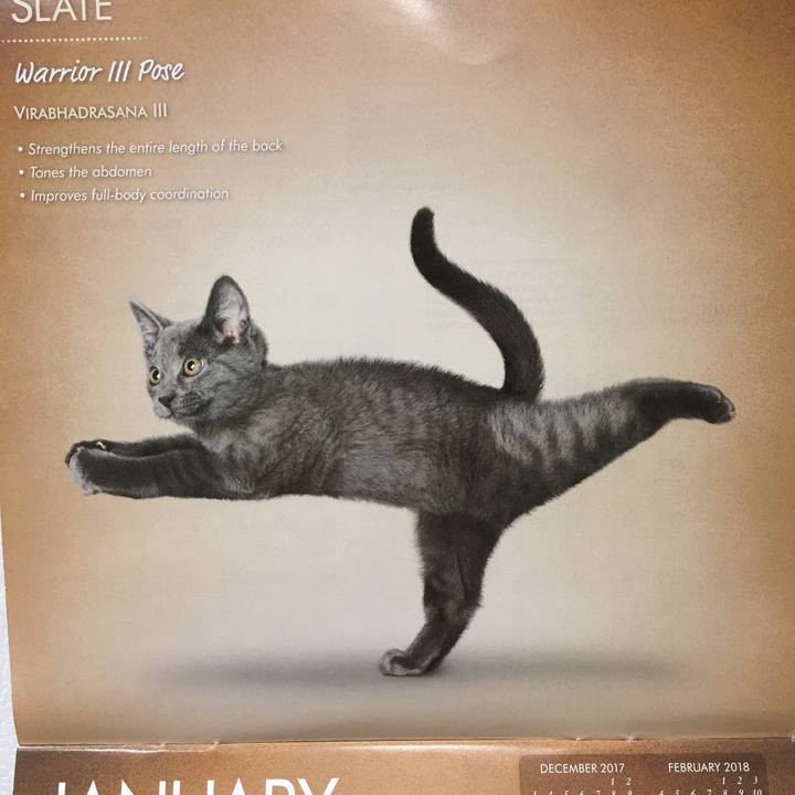 E066ee39 bc19 4a96 8084 4ce813e604c3 1514870082166