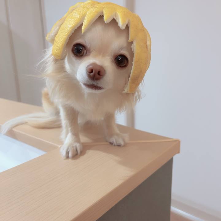 E066fa65 e4e9 4f3e ac43 fca3dd8ebf58 1710681280658