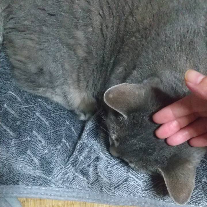 E067295a 2bcc 481c 9b67 47465b32aaa7 1654794854192